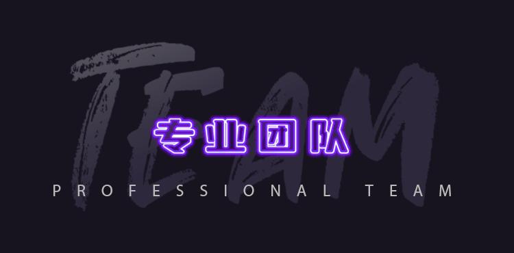 专业团队
